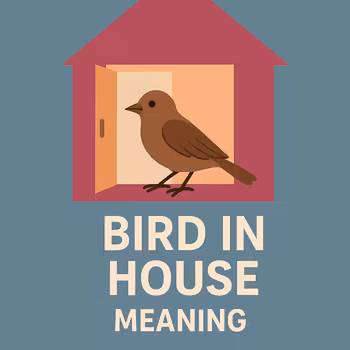 Bird In House Meaning