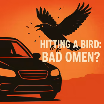 An Ill Omen on the Wing: Deconstructing the Superstition of Hitting a Bird