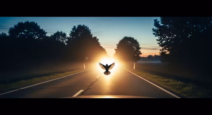The silhouette of a bird frozen in the bright glare of a car's headlights at dusk.
