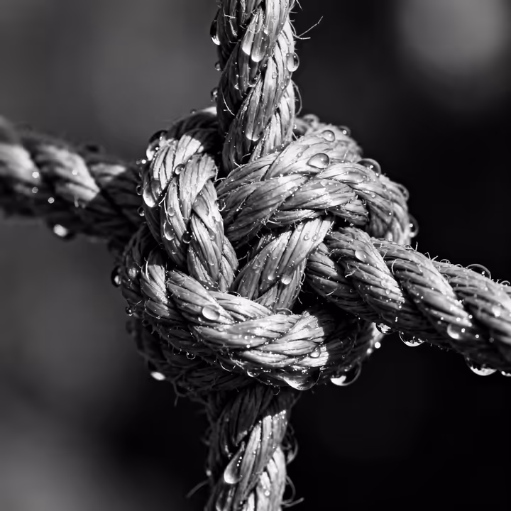 A close-up of a sailor's knot in a thick rope, wet with water droplets, showing how the fibers have swollen and tightened.
